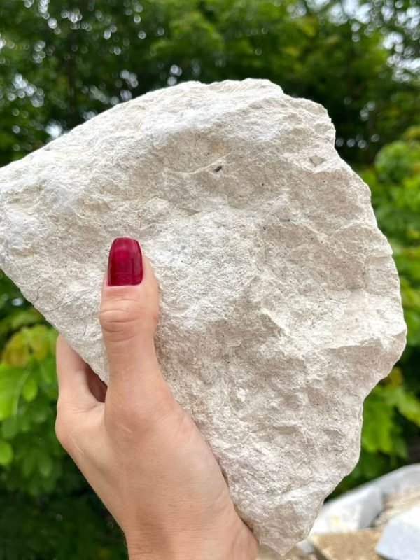 Moledo Calcária da Pedra Rústica